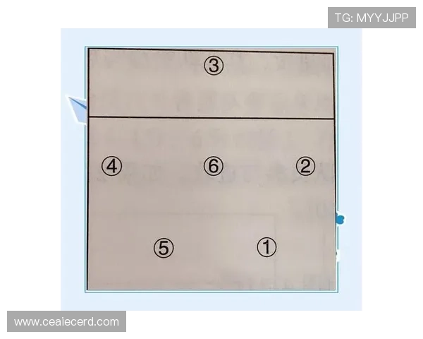 赛后分析:西安排球队与广州排球队的战术配合与表现评估 赛后分析:西安排球队与广州排球队的战术配合与表现评估