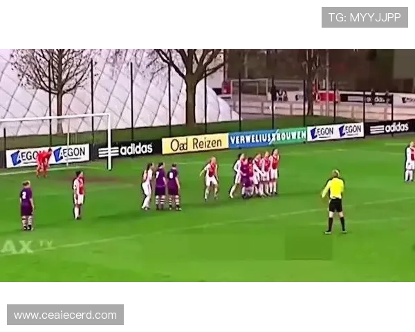 足球明星精彩瞬间集锦图赏展现球场魅力与激情的完美构图