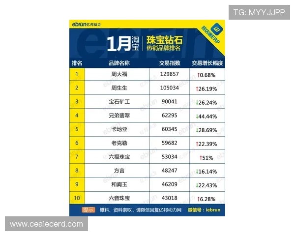 南京排球队在钻石联赛中以60分稳居积分榜首位展现强劲实力
