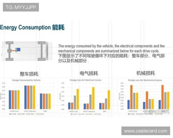 杭州网球队节奏表现分析与战术优化探讨 杭州网球队节奏表现分析与战术优化探讨