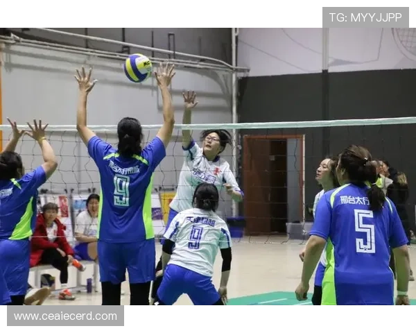 权威发布:2023年排球配合实力榜单全面解析与评比 权威发布:2023年排球配合实力榜单全面解析与评比