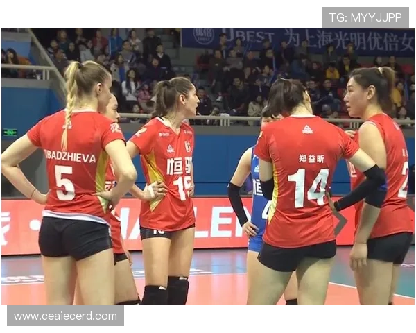 深圳与上海排球队对决赛后分析与经验总结 深圳与上海排球队对决赛后分析与经验总结