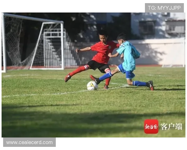 足球明星在绿茵场上挥洒汗水的精彩瞬间定格图集 足球明星在绿茵场上挥洒汗水的精彩瞬间定格图集