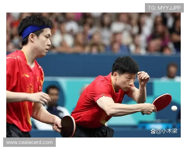 数据分析：北京乒乓球队的状态表现