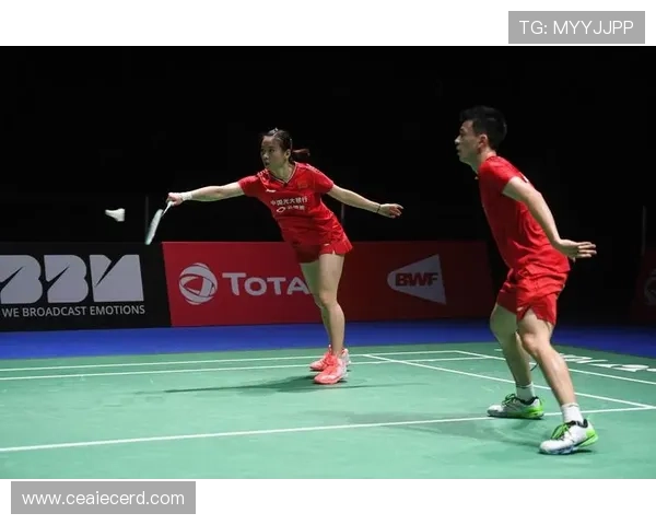 杭州羽毛球队灵活性分析及其对比赛表现的影响探讨