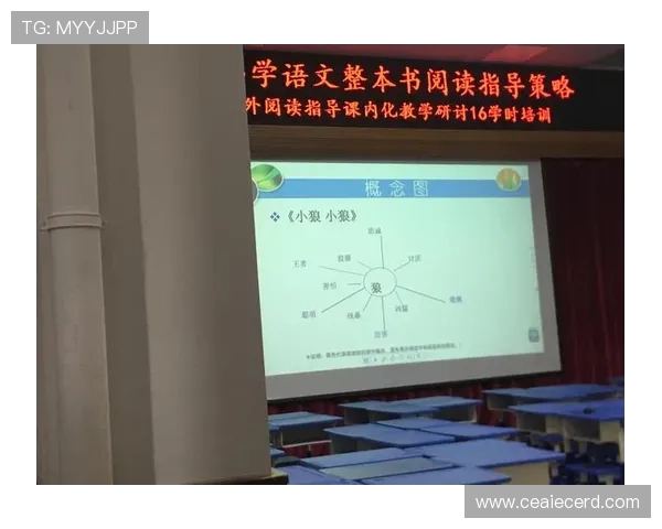 深圳网球队的灵活性分析与发展策略探讨