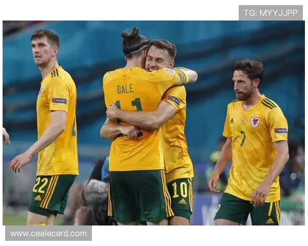 黑人足球明星贝尔的精彩瞬间与职业生涯回顾图片集