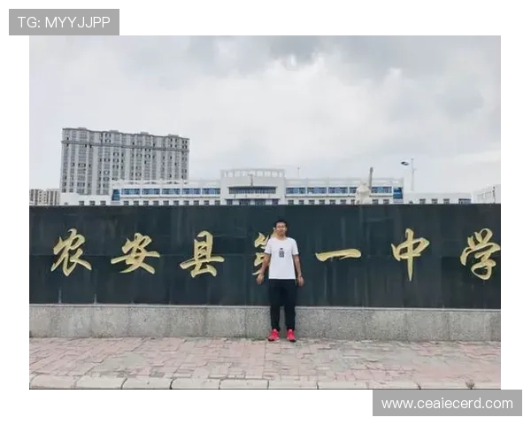 专访杨芳：深入探讨排球运动背后的成功秘诀与成长之路